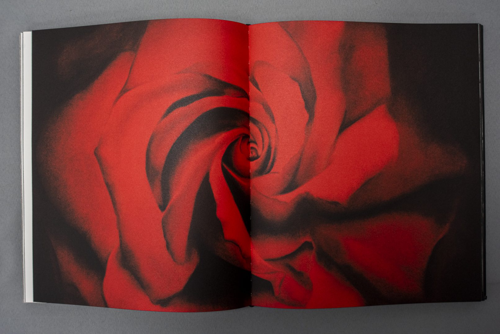 Doppelseite aus der Publikation Charcoal,mit einer kraftvollen roten Rose