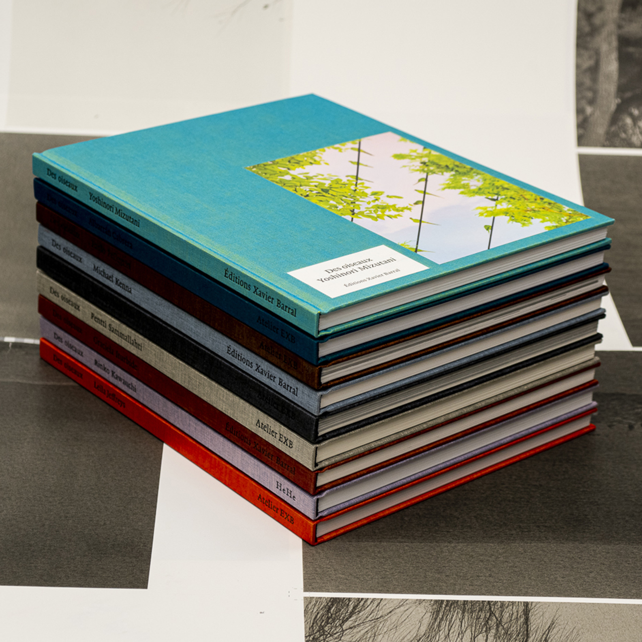 Des Oiseaux: Reihenpublikation erschienen bei Atelier EXB, Paris