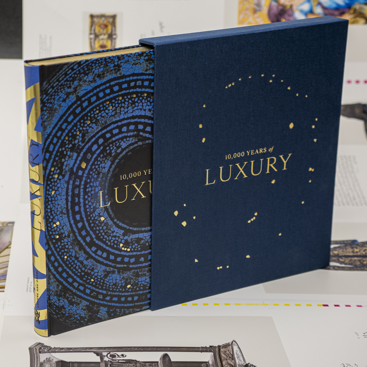 Cover der Publikation Luxury, Buch im Leinenschuber