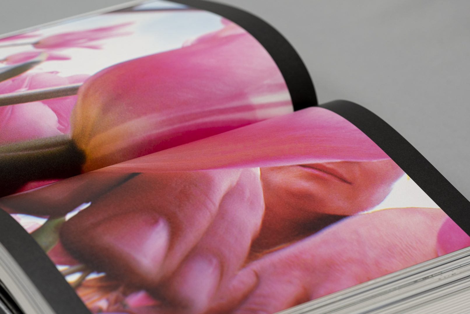 Detail aus dem Buch Hauser & Wirth: 20 Years, kraftvoller Druck im Offset