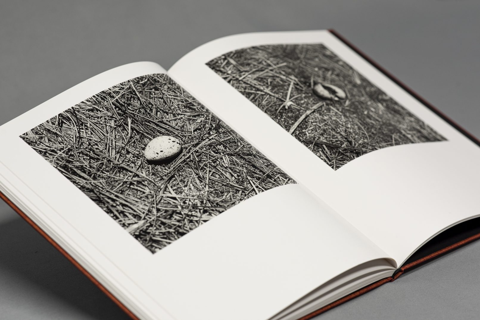 Doppelseite aus Des Oiseaux, gedruckt im MaxxMatt-Printing-System im Offsetdruck