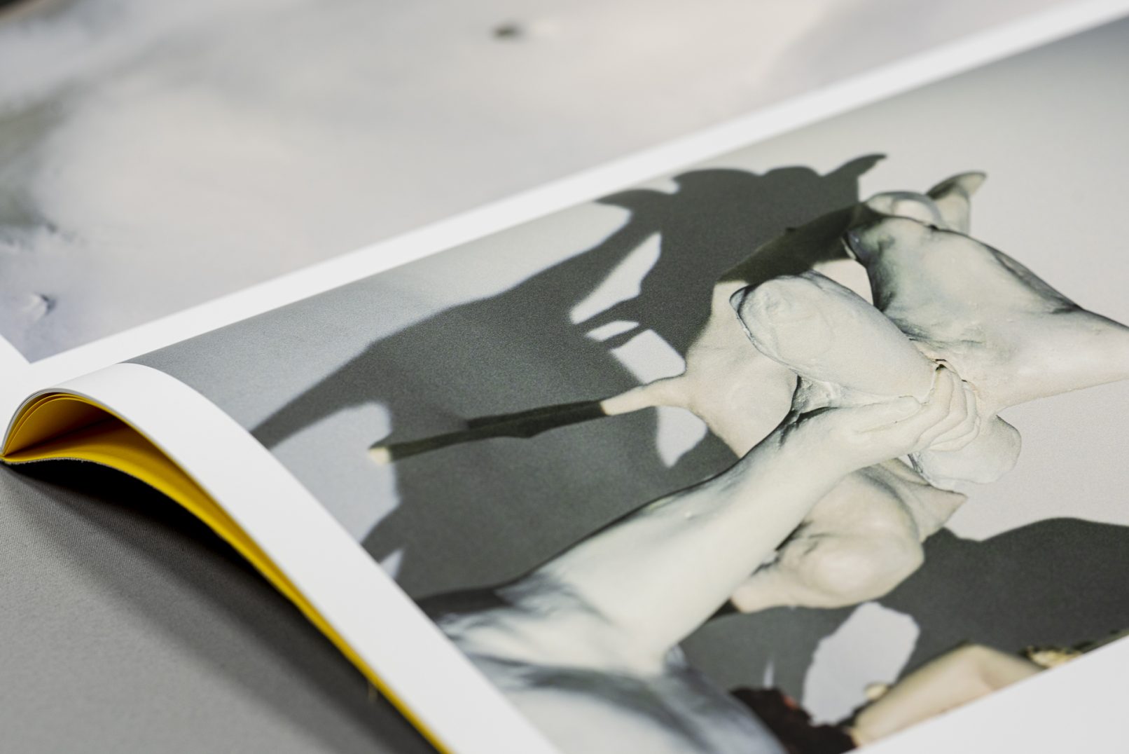 Detail aus dem Inhalt der Publikation Oda Jaune