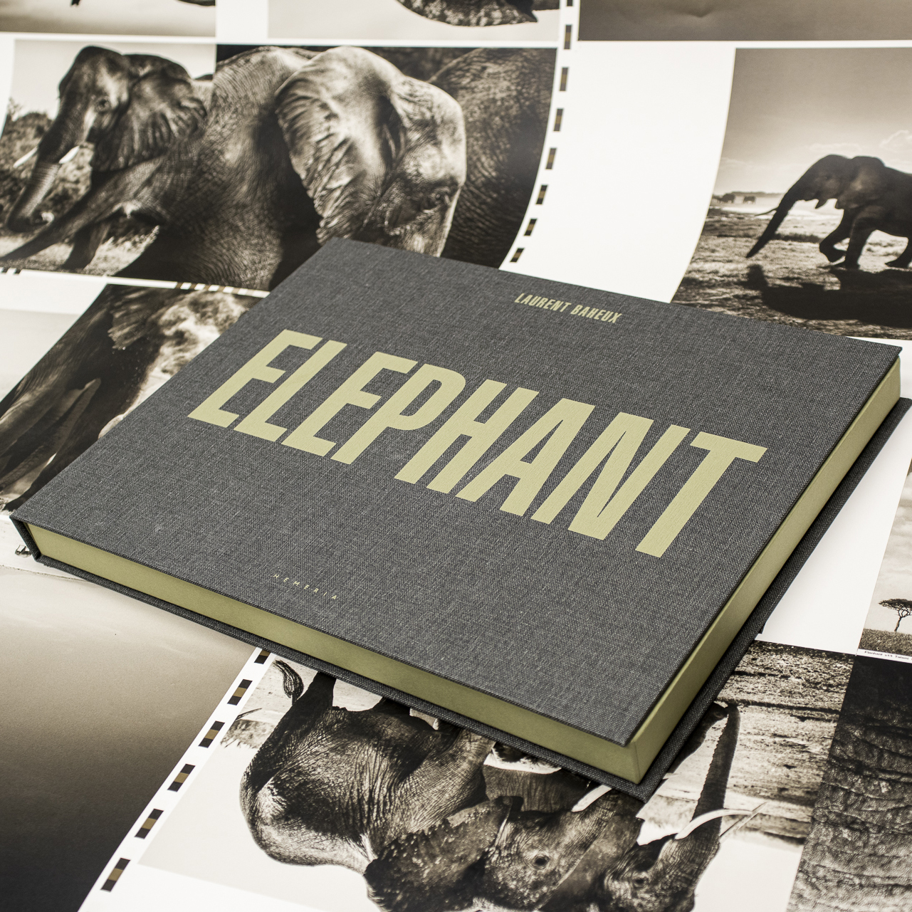 Buch-Kassette für die Steifbroschur Elephant, bezogen mit Leinen und im Siebdruck bedruckt