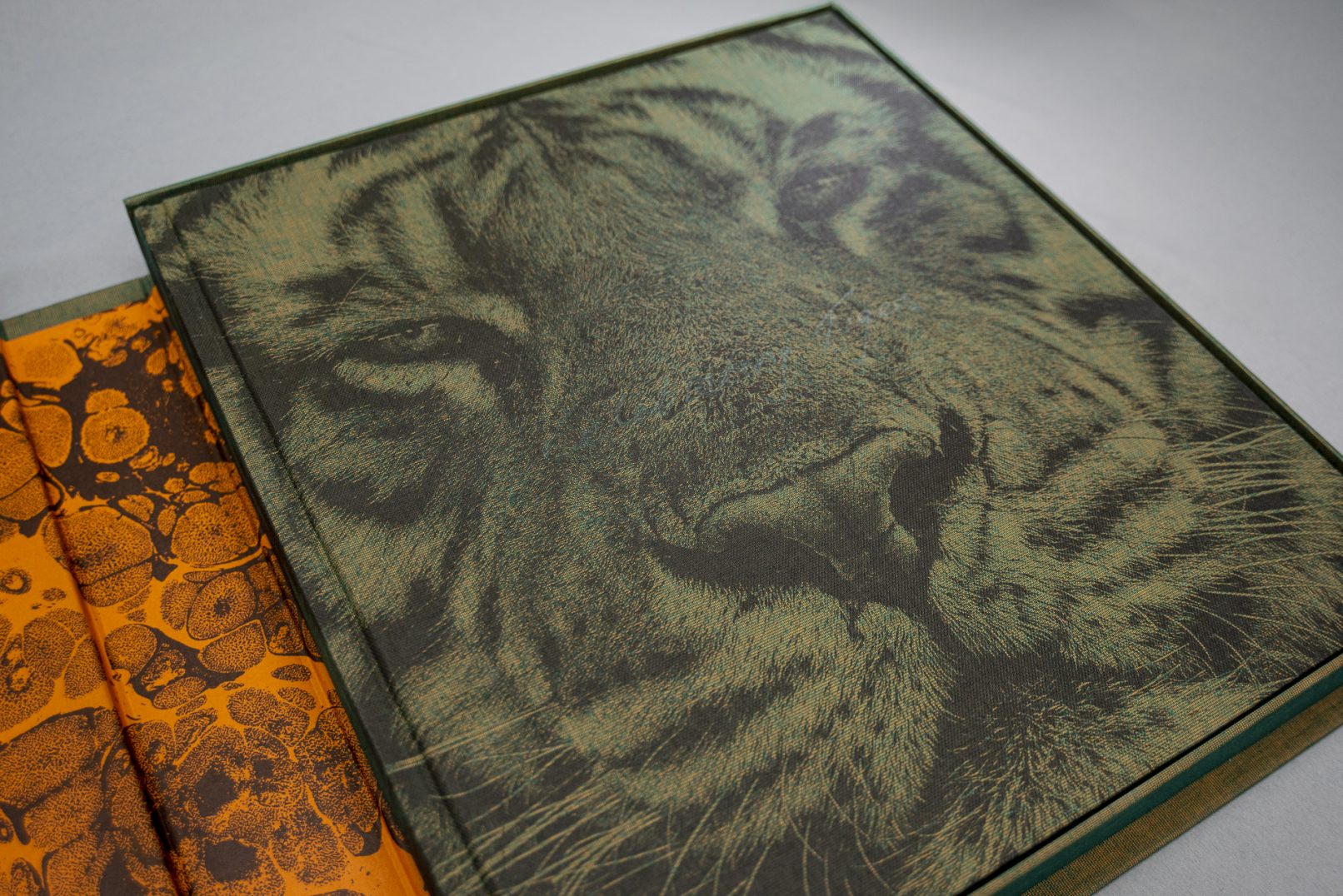 Celebrating Tigers: Buch in Box